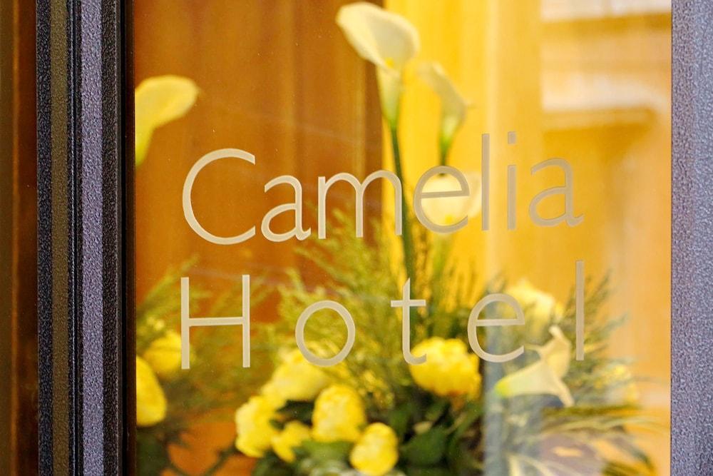 Hotel Camelia - Exterior detail