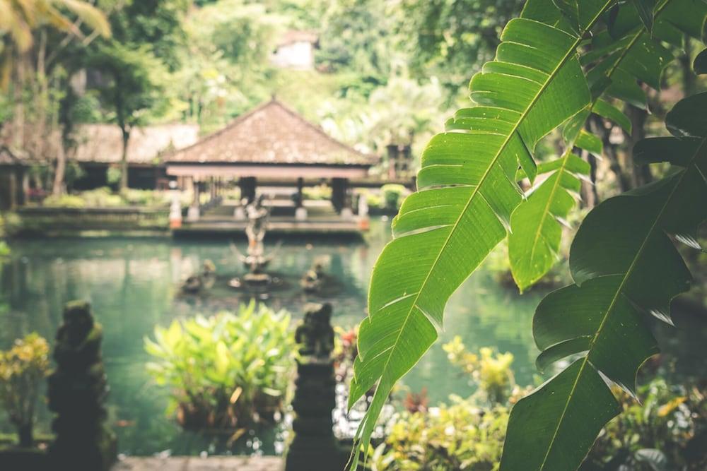 Beautiful Villa With Private Pool, Bali Villa 2049 - Property Grounds