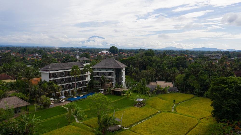 Plataran Ubud Hotel & Spa - Aerial View
