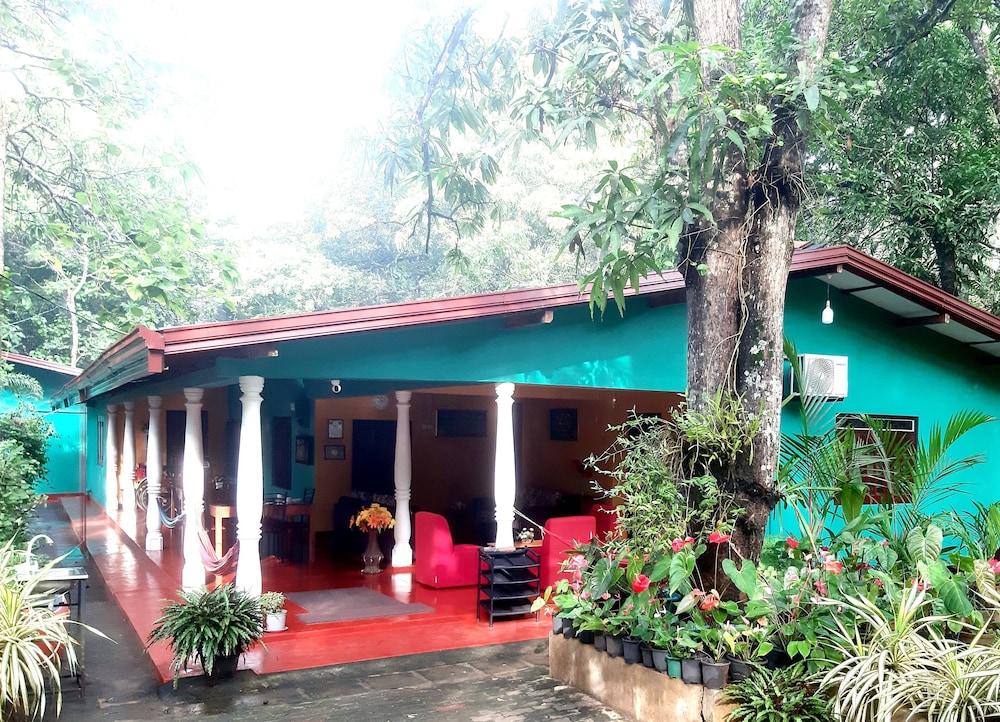 Palitha Home Stay - Featured Image