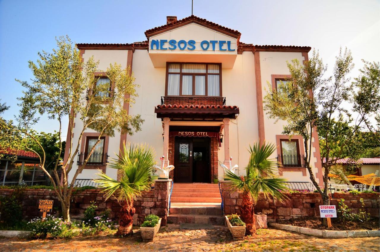 Cunda Nesos Hotel - Other