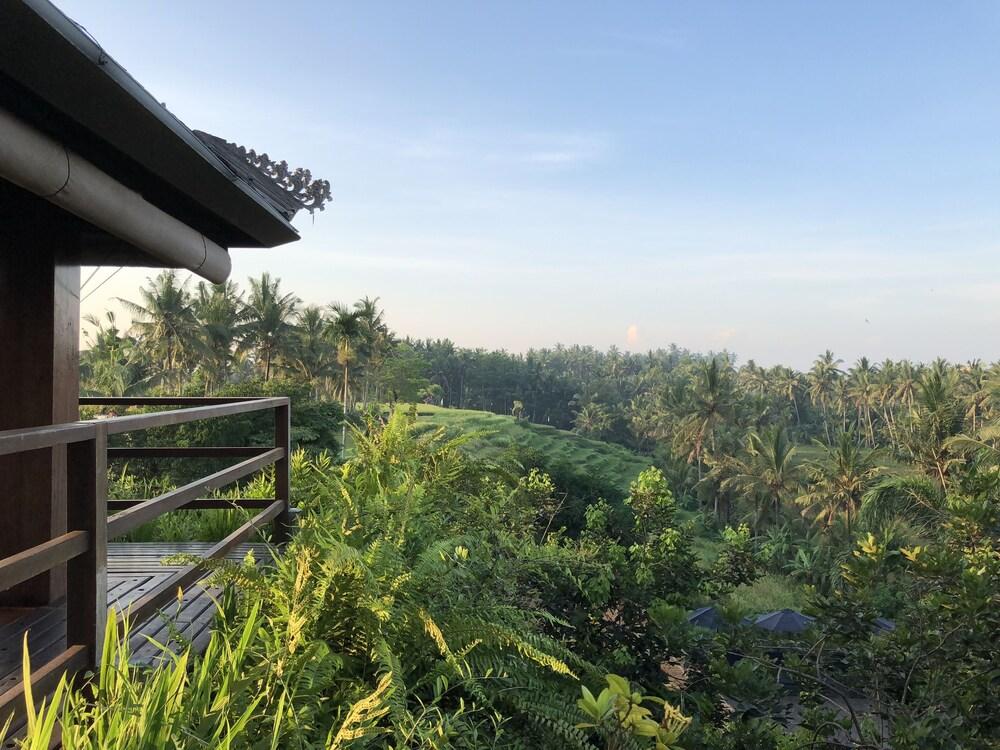Soulshine Bali - Property Grounds