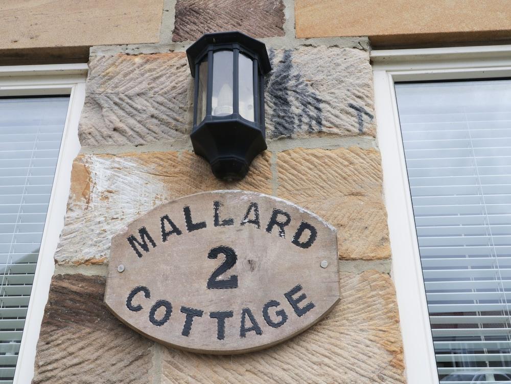 Mallard Cottage - Interior
