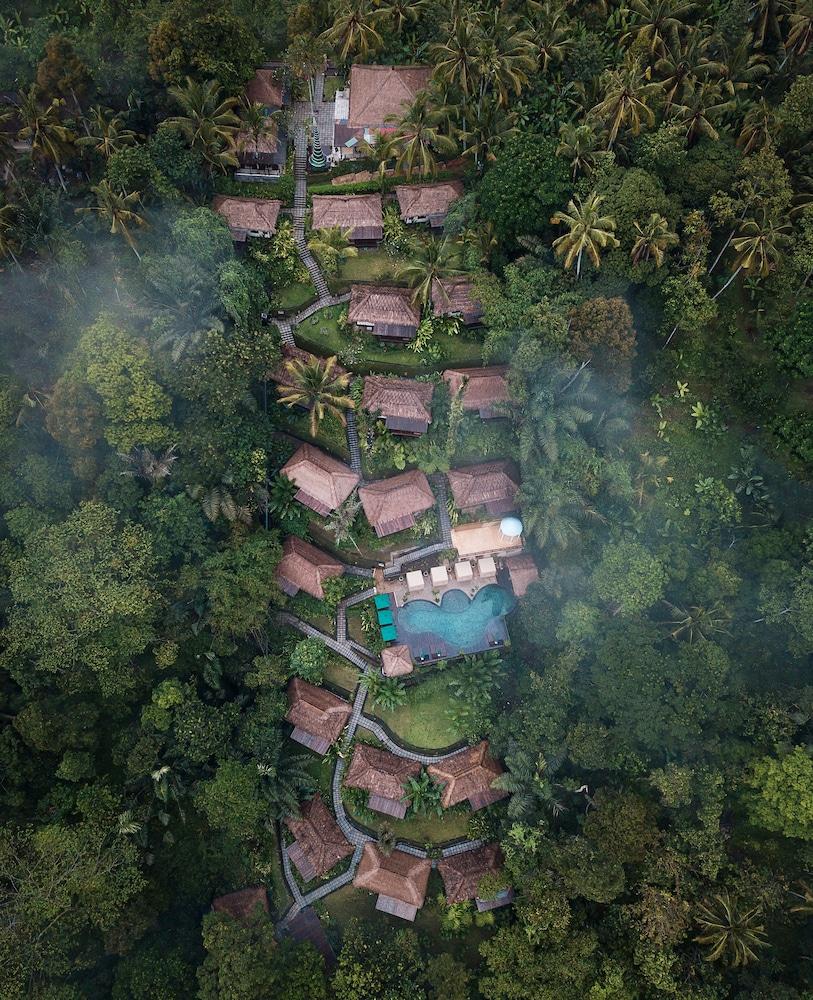 Nandini Jungle by Hanging Gardens - Aerial View