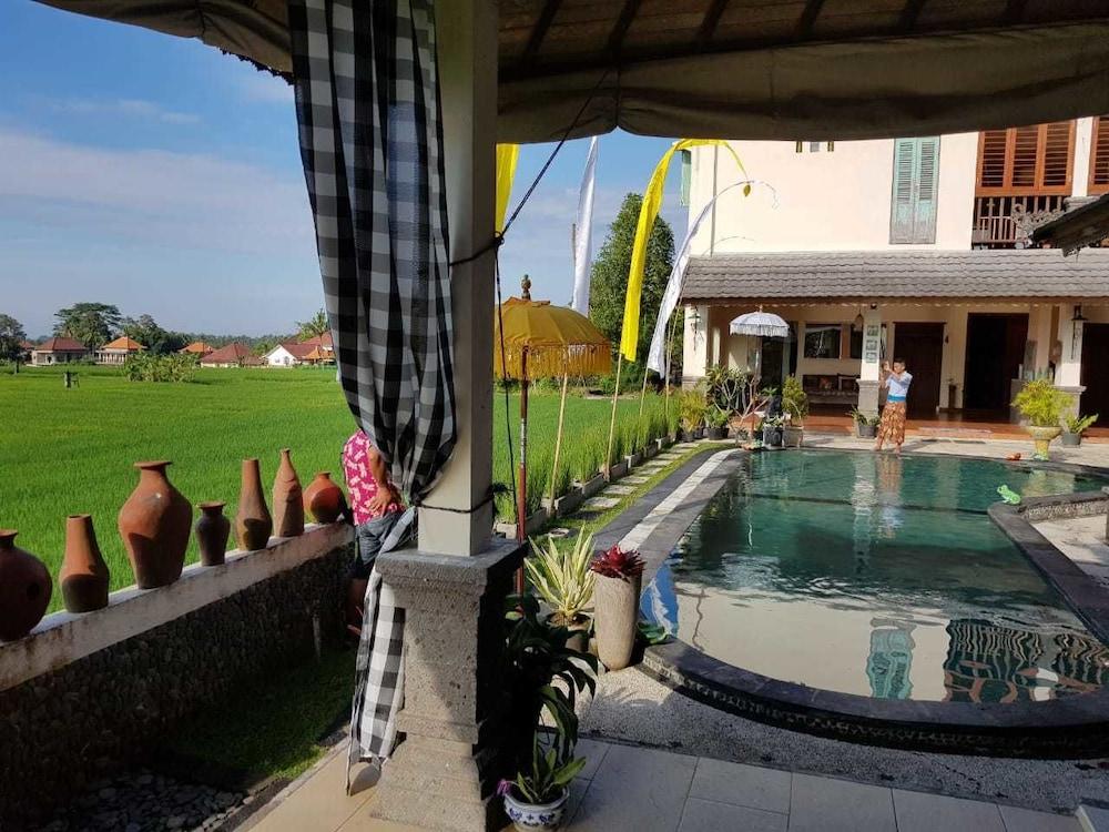 Mahasa Resort Ubud - Outdoor Pool