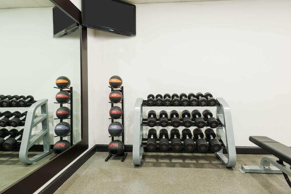 Homewood Suites by Hilton Holyoke-Springfield/North - Fitness Facility