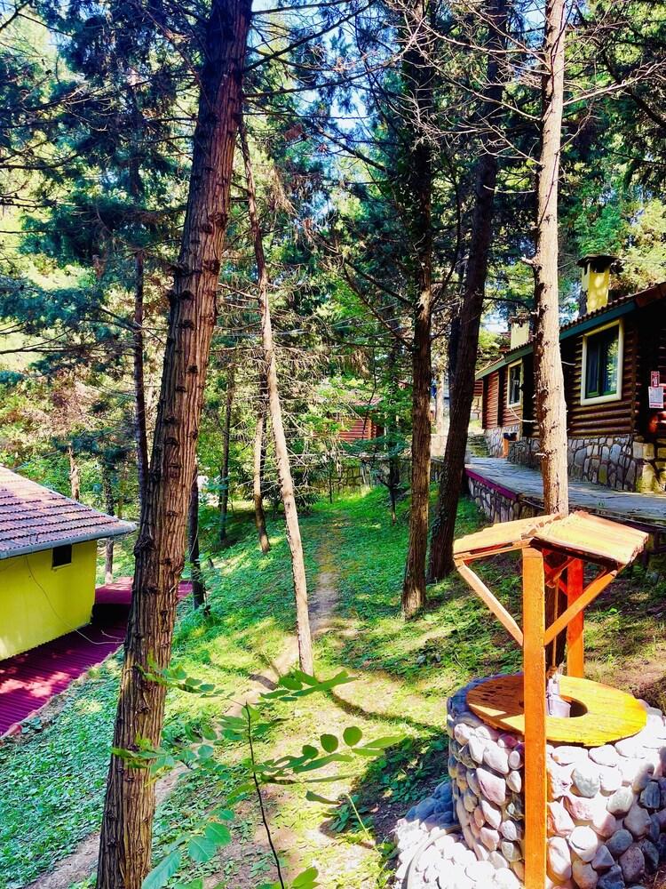 Agva Orman Evleri Forest Lodge - Exterior