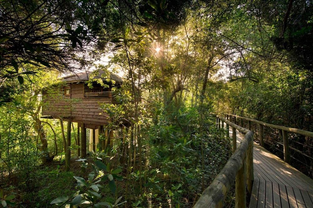 Tsala Treetop Lodge - Property Grounds