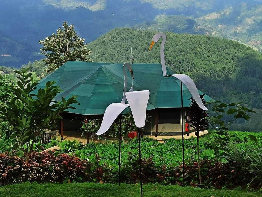 Madulkelle Tea and Eco Lodge - Exterior