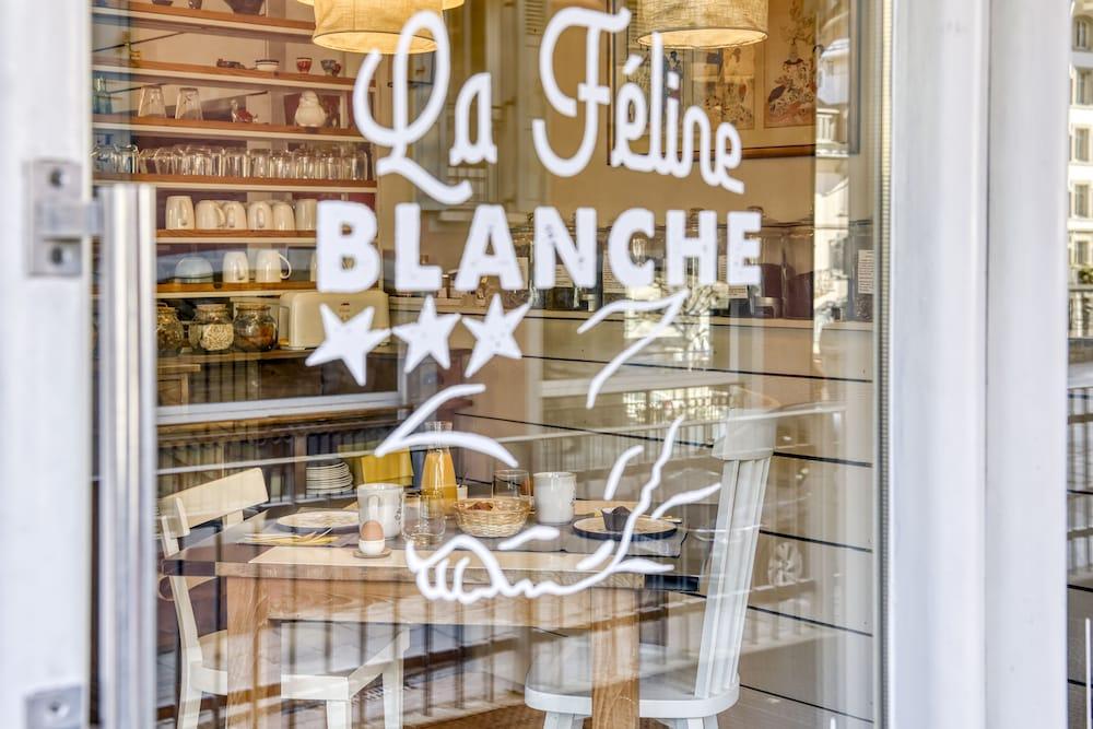 La Féline Blanche - Featured Image