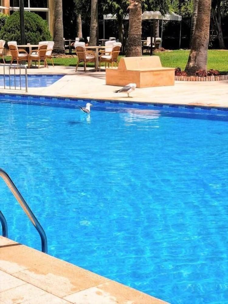 فندق الأمنية بويرتو آند سبا - Pool