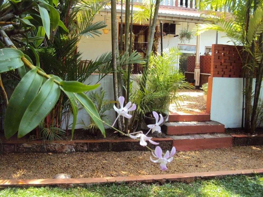 Angel Villa - Exotic Holidays in Private Villa Near Beach - Property Grounds