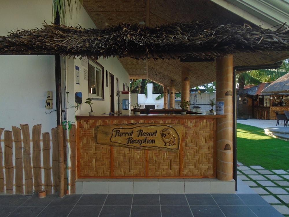 Parrot Resort Moalboal - Reception
