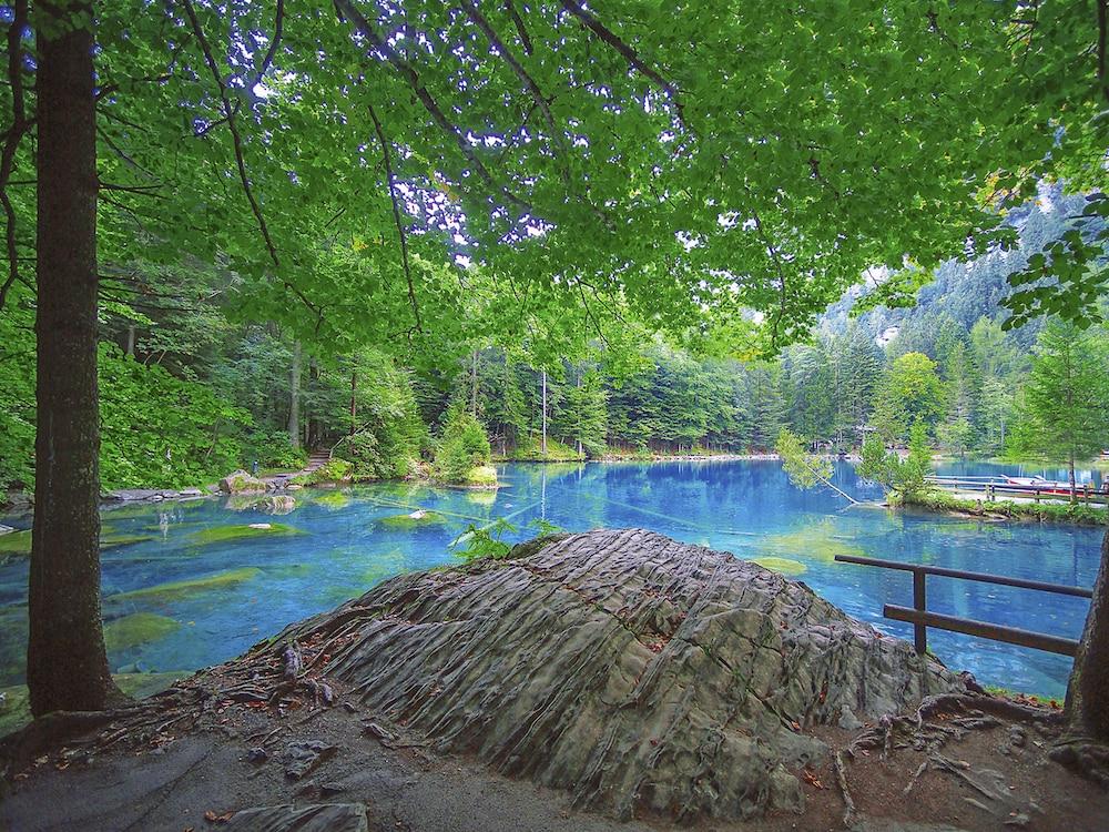 Hotel Blausee - Exterior