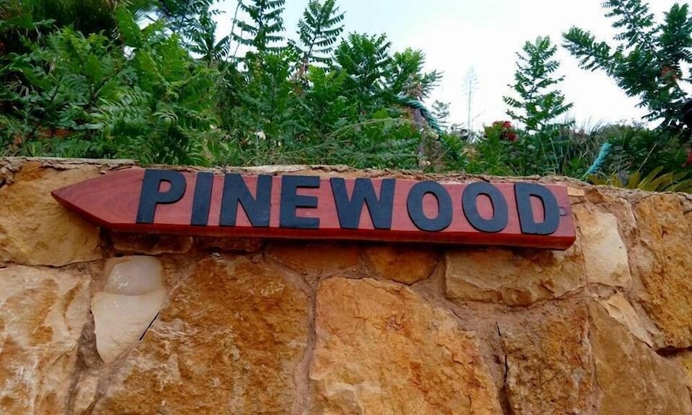 Pinewood Hotel - Exterior detail