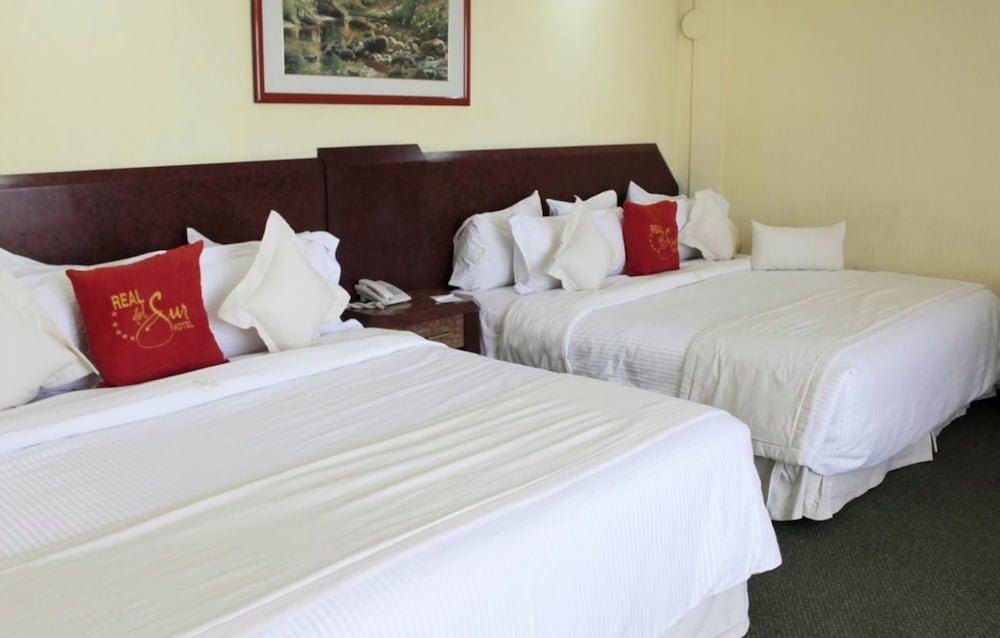 Hotel Real del Sur - Room