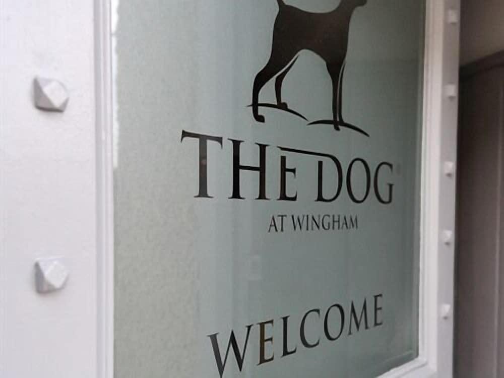 The Dog at Wingham - Exterior