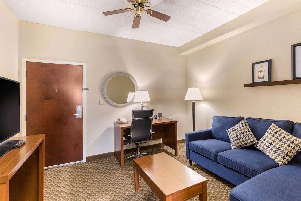 Comfort Suites Columbia Gateway - Room