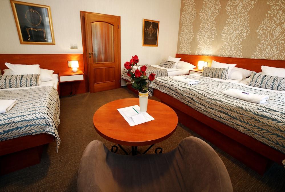 Hotel Roudna - Room