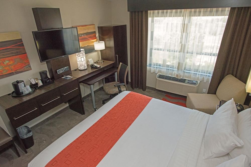 Holiday Inn New York JFK Airport Area, an IHG Hotel - Room