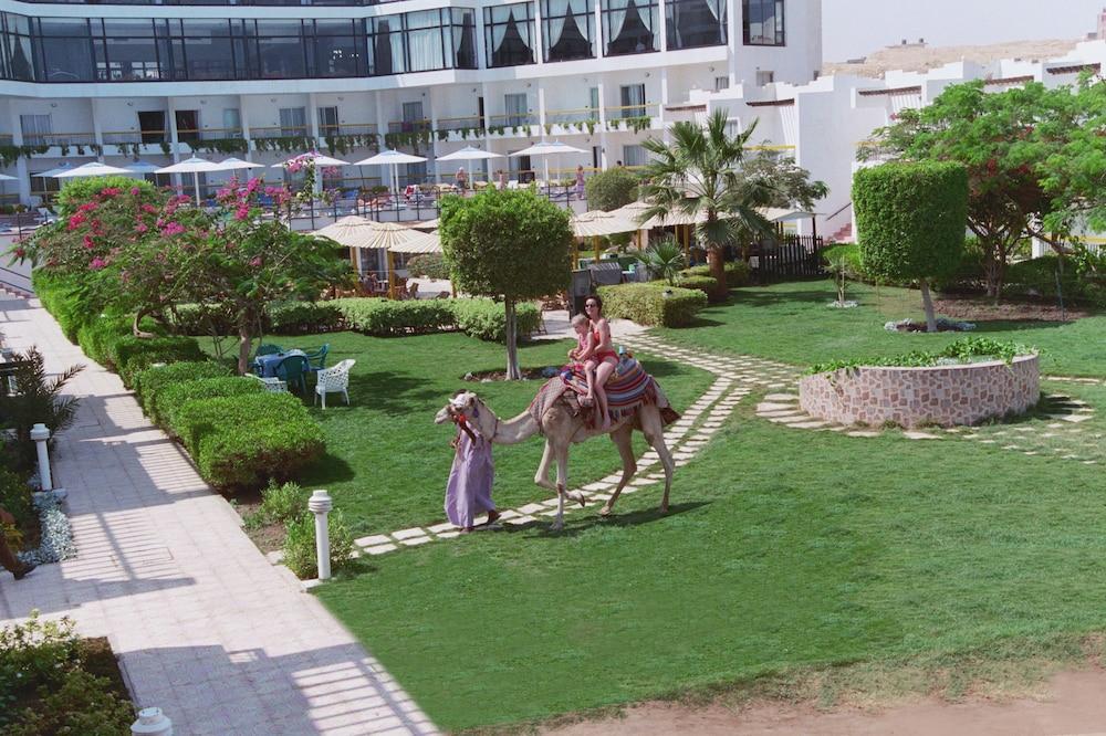 Beirut Hotel Hurghada - Beach