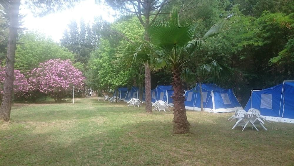 Altin Camp & Park Hotel - Property Grounds