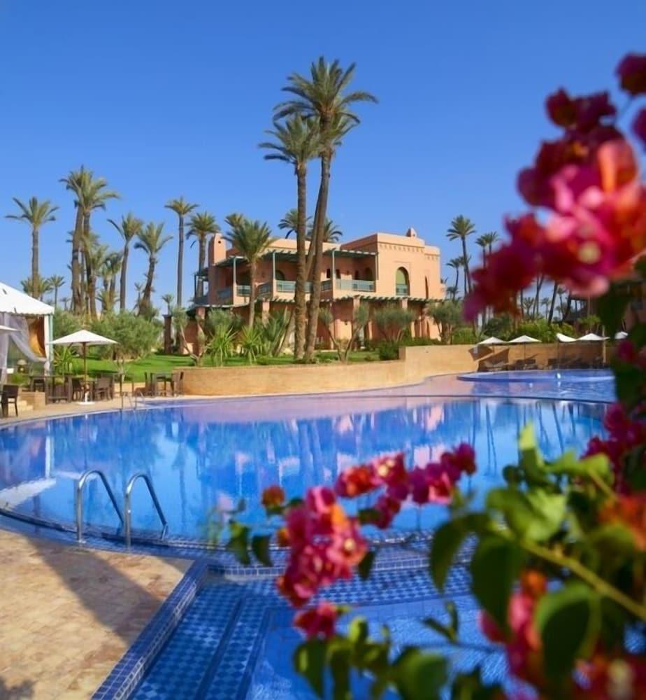 Palmeraie Village Residence Marrakech - Outdoor Pool