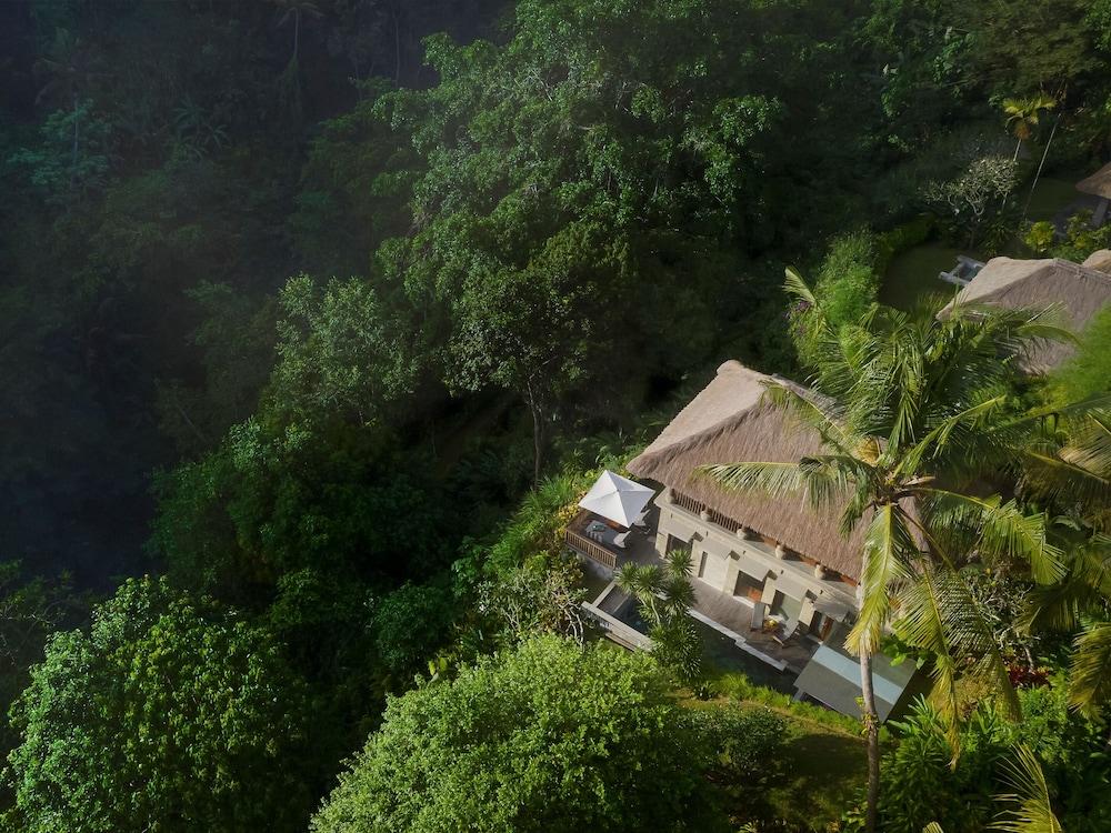 Maya Ubud Resort and Spa - Aerial View