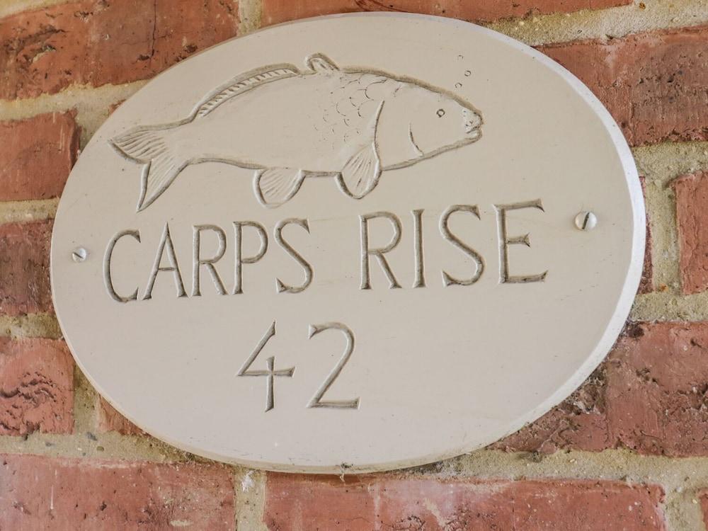 Carp's Rise - Interior