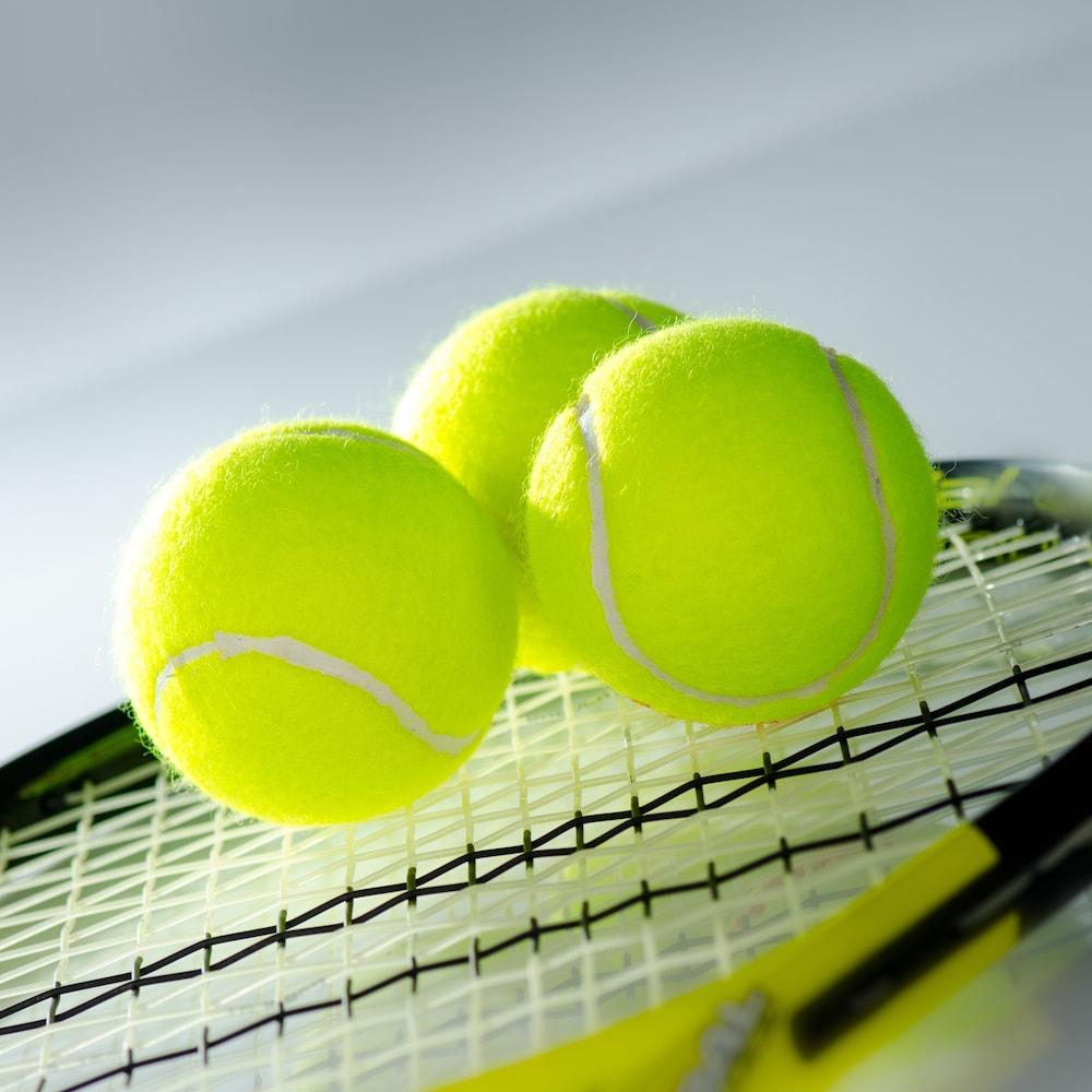 منتجع أنانتارا النخلة دبي - Tennis Court