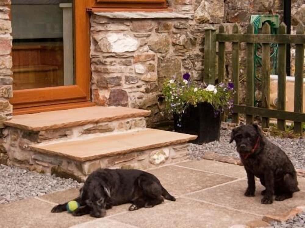 Ghyll Farm Bed & Breakfast - Property Grounds