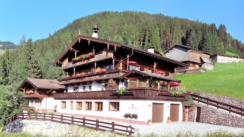 Alpbach Bergwald - Featured Image