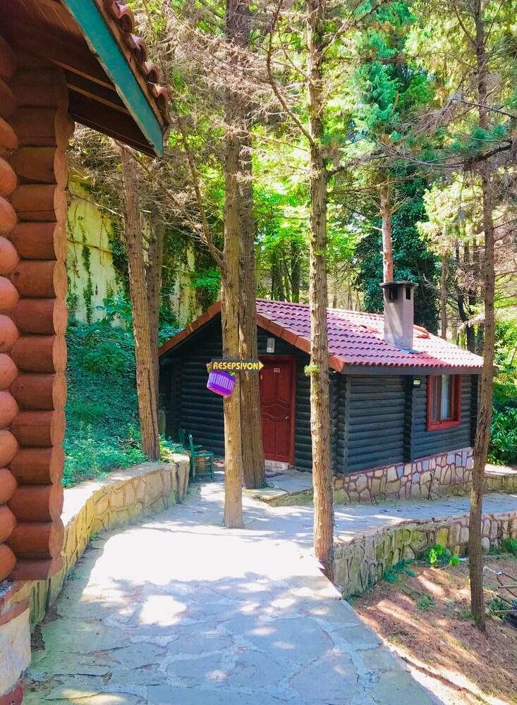 Agva Orman Evleri Forest Lodge - Exterior