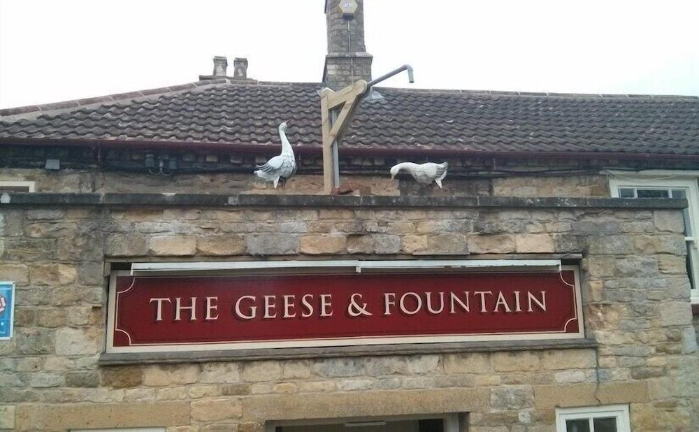 The Geese and Fountain - Featured Image