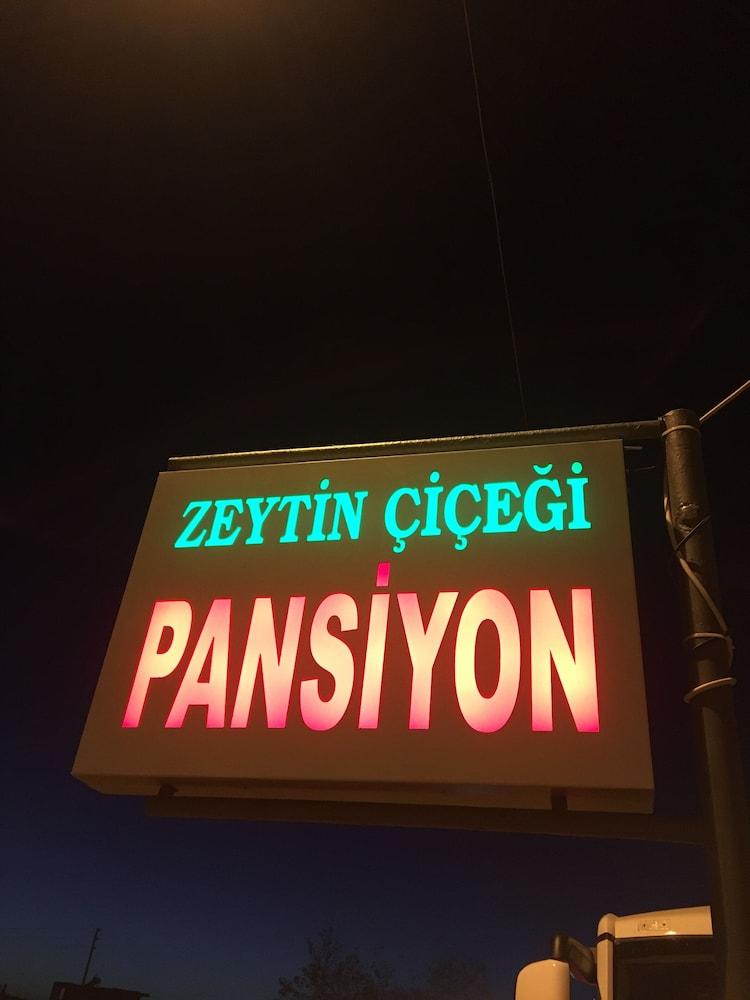 Zeytin Cicegi Pansiyon - Exterior detail