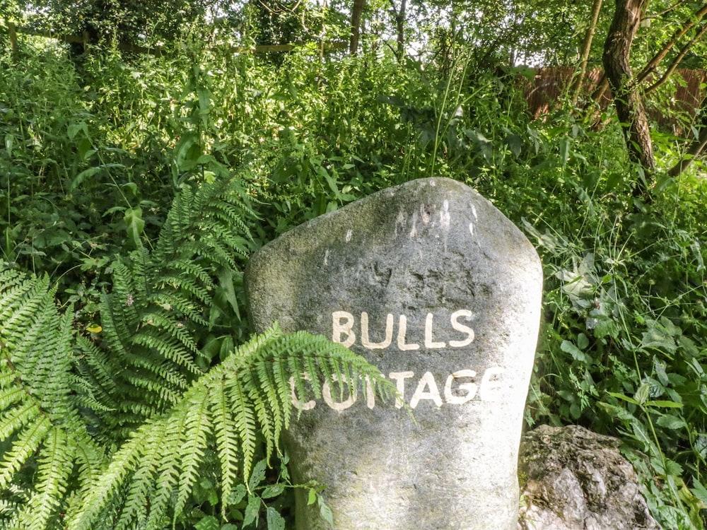 Bulls Cottage - Interior
