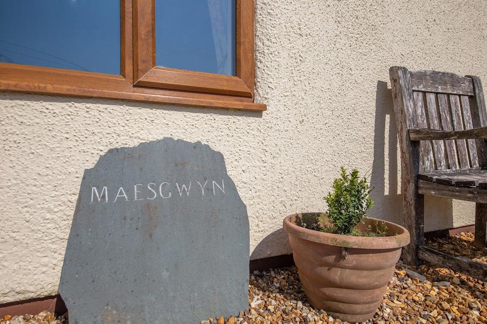 Maesgwyn - Property Grounds