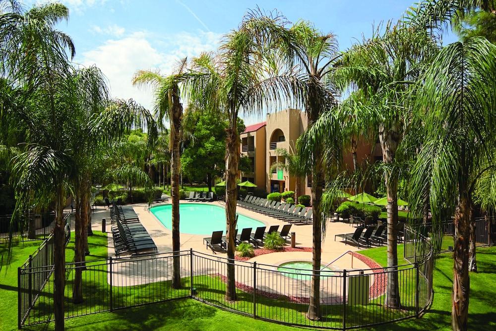 Embassy Suites by Hilton Phoenix Tempe - Outdoor Pool