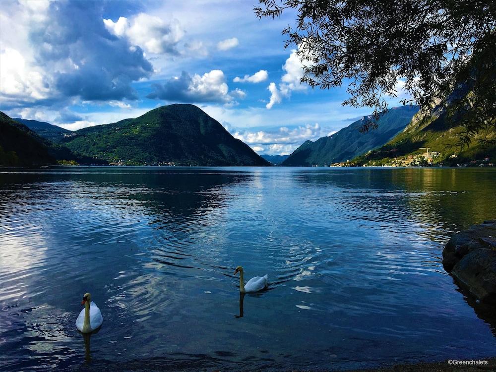 Italy Lago Di Lugano Porlezza - Property Grounds