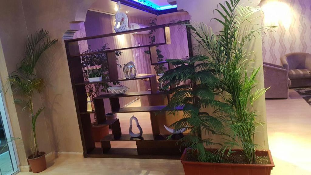 Kasr Dama Furnished Apartments - Other