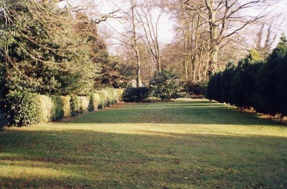 Abbot's Haye - Garden