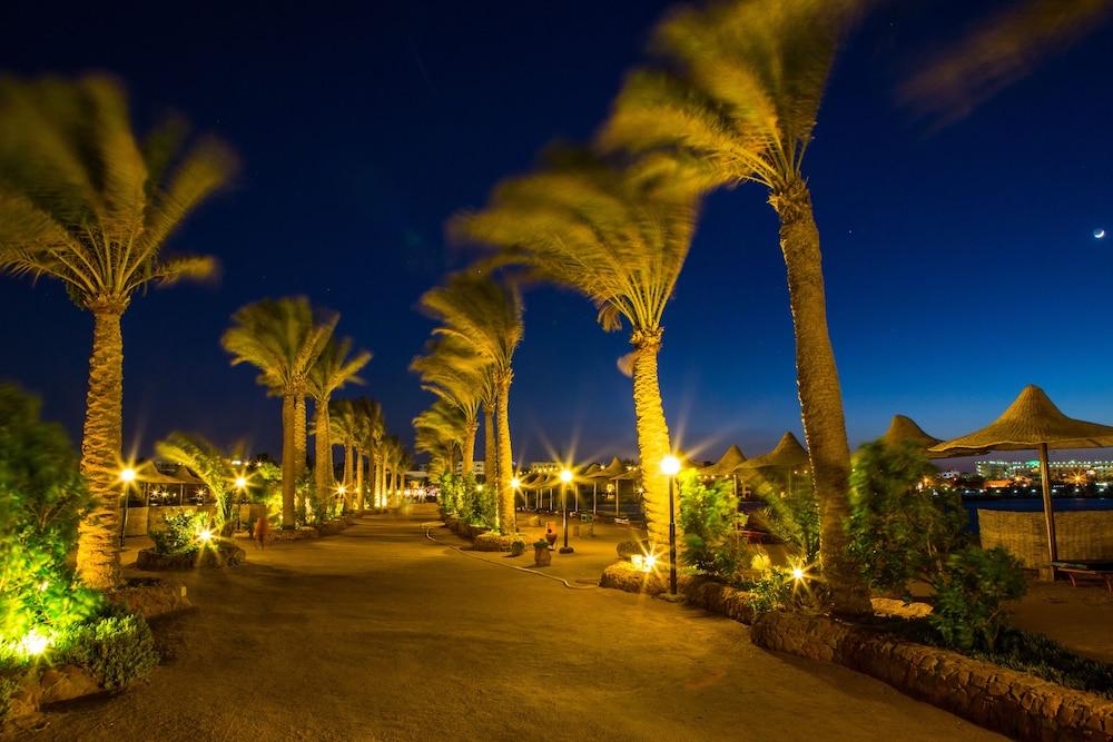 Arabia Azur Resort - All Inclusive - Property Grounds