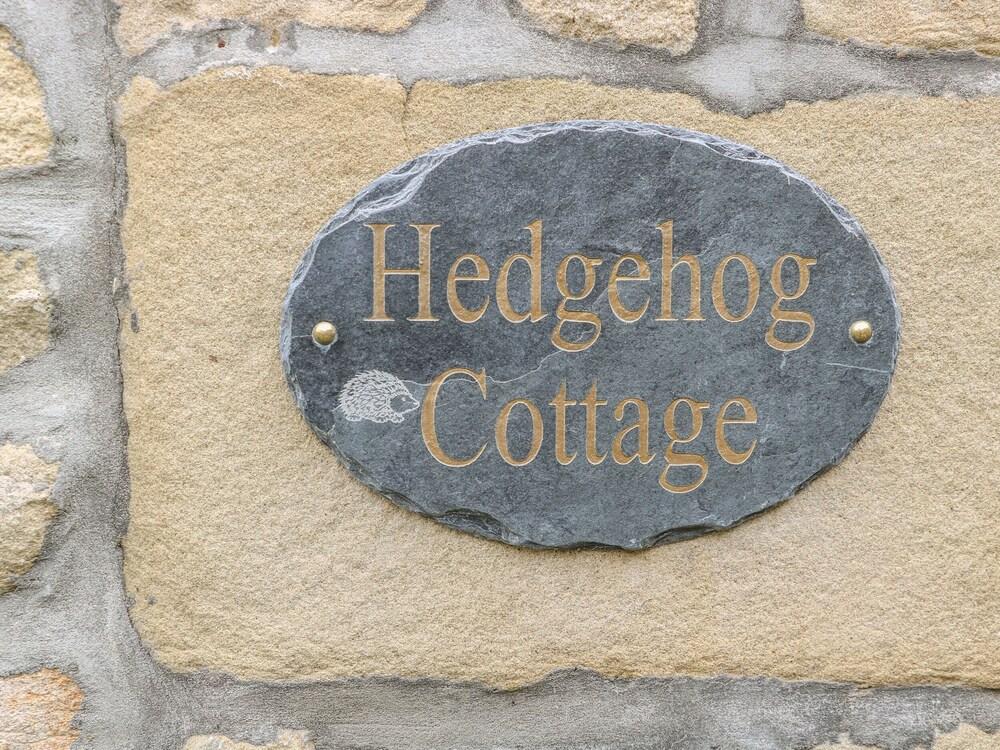 Hedgehog Cottage - Interior
