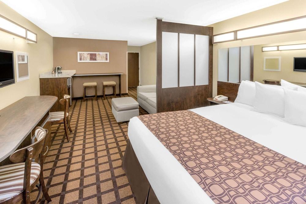 Microtel Inn & Suites by Wyndham Ozark - Room