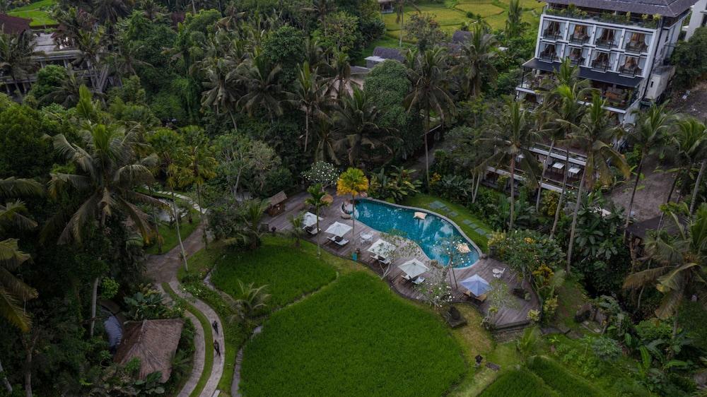 Plataran Ubud Hotel & Spa - Aerial View