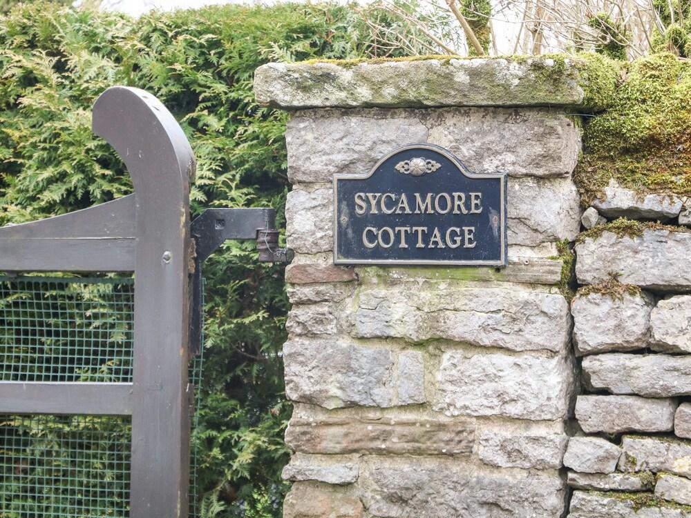 Sycamore Cottage - Property Grounds