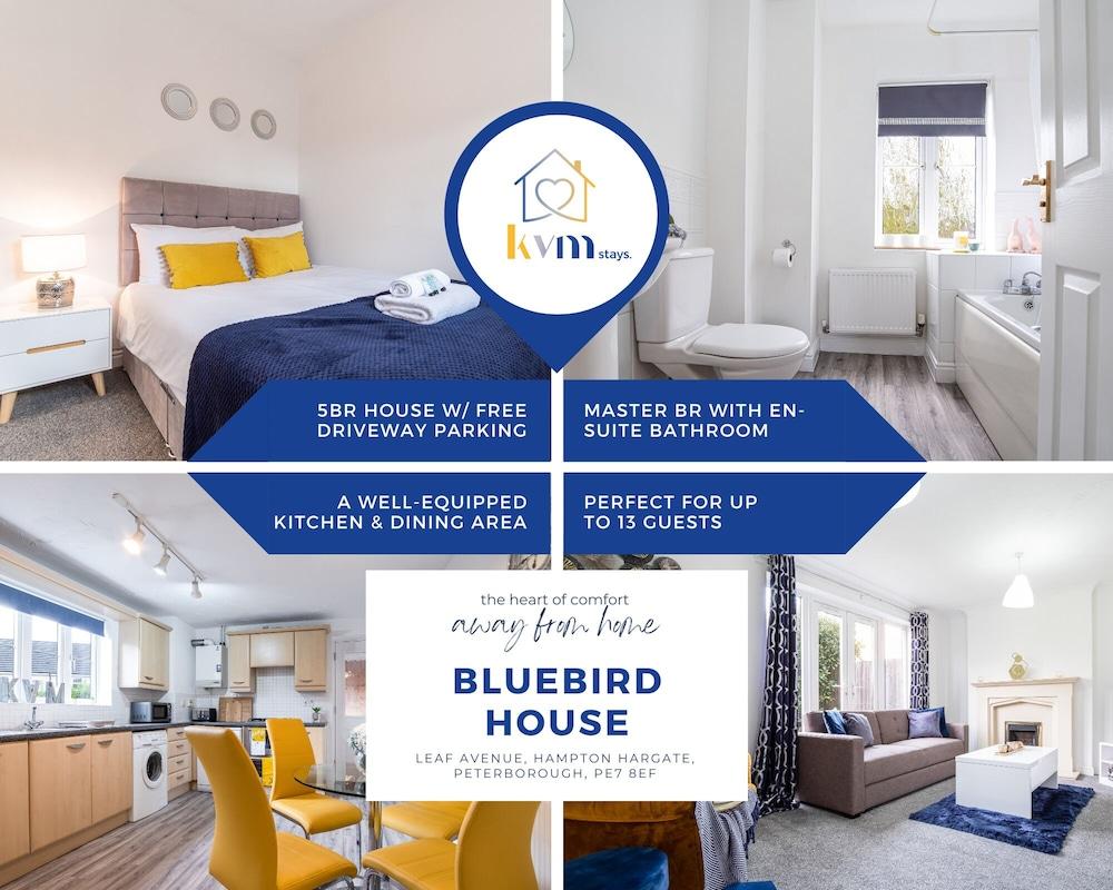 KVM - Bluebird House - Featured Image