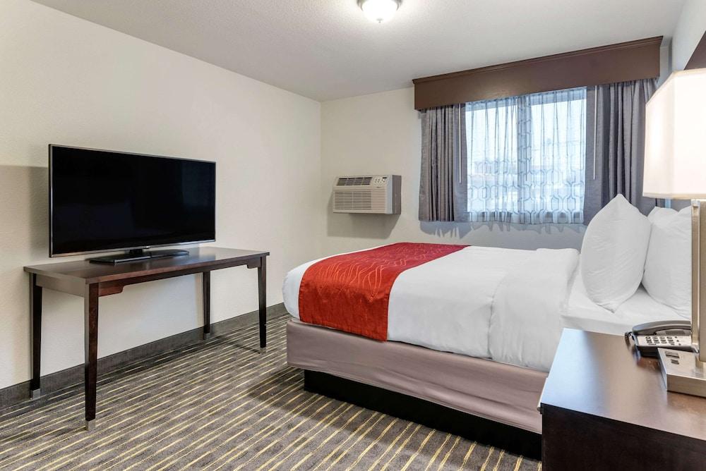 Comfort Inn & Suites Tigard near Washington Square - Room