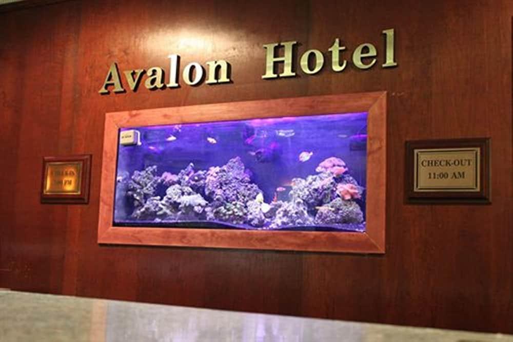 Avalon Hotel & Conference Center - Reception