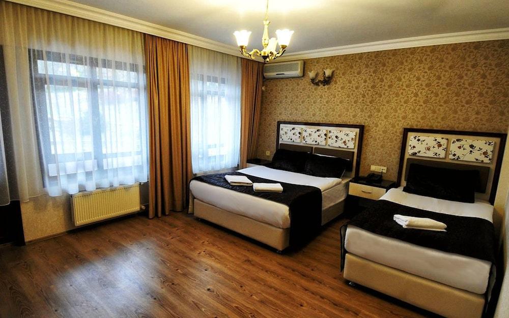 Ankara Hotel Pino - Room